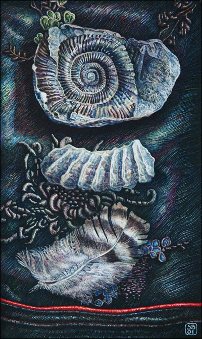 Still life with ammonites and feather